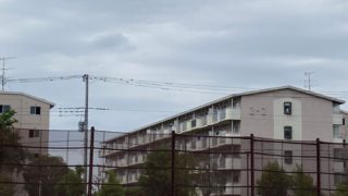 Thumbnail of post image 155